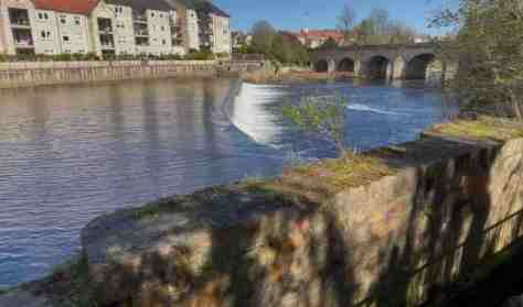 WEATHERBY KNIGHTS TEMPLAR PRECEPTORY
