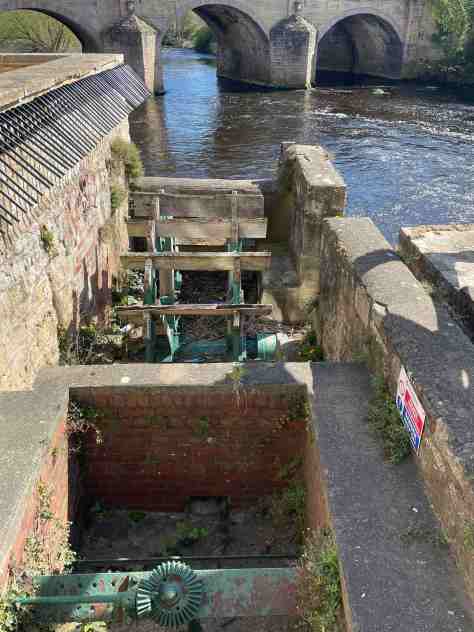 WEATHERBY KNIGHTS TEMPLAR PRECEPTORY